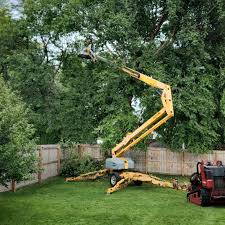 Best Grass Overseeding  in Firebaugh, CA